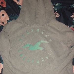 Hollister Sweatshirt